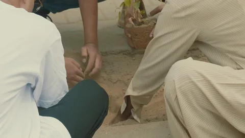 Planting Trees Stock Footage 96056847