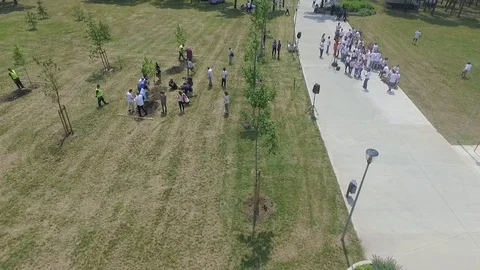 Planting trees 動画素材 111972768