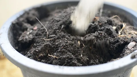 Planting trees in nature. Stock Footage 75783763