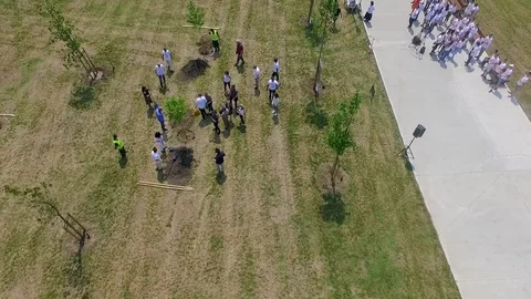 Planting trees in park 動画素材 111971837