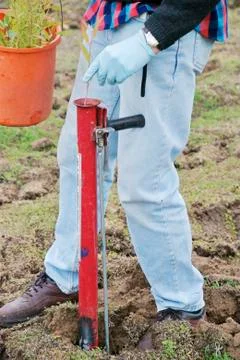 Planting trees Stock Photos