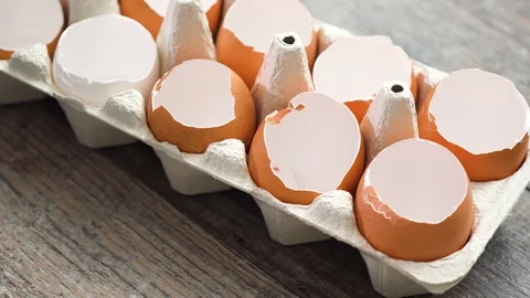 Plantings seeds in eggshells and labeling them Stock Footage 106870134