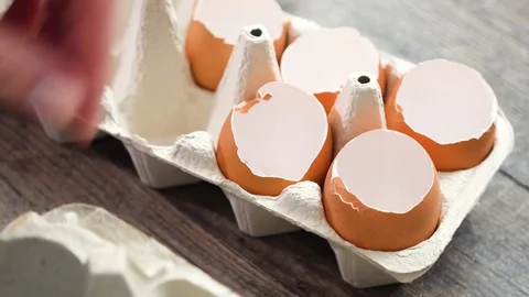 Plantings seeds in eggshells and labeling them with small plant tags. Stock Footage 126298680