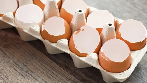 Plantings seeds in eggshells and labeling them with small plant tags. Stock Footage 126302805