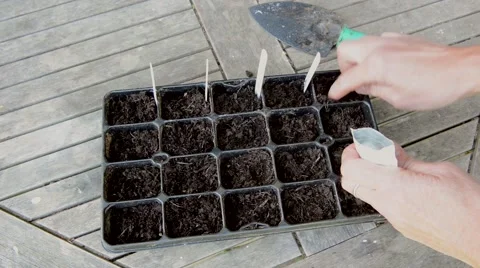 PlantingSeeds Stock Footage 50170830