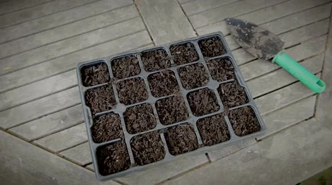 PlantingSeeds Stock Footage 50172888