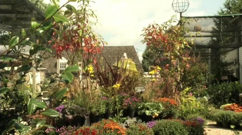 Plants 2 Video stock 537670