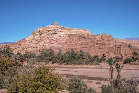 Plants with ancient fort building in front or rocky cliff against sky Stock Photos