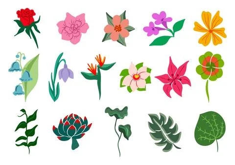 Plants and flowers design elements collection Stock Illustration
