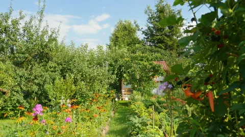 Plants and flowers in the garden plot in 4k Stock Footage 153319218