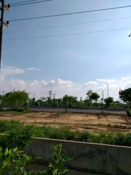 Plants and trees 스톡 사진