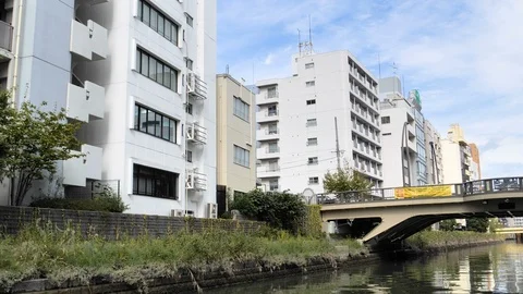 Plants and vines on the wall of the river side in Tokyo Japan Stock Footage 123296954