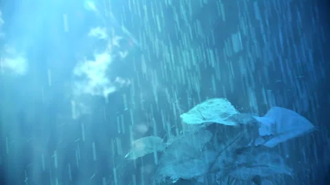 Plants and Water Surface Stock Footage 332757783