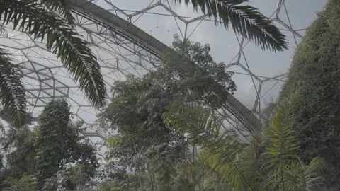 Plants And Windows From Inside The Eden Project 2 - No LUT Version Stock Footage 221829104