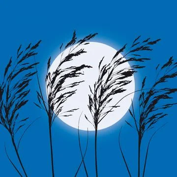 Plants in backlight and moon, vector illustration Stock Illustration