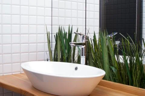 Plants in bathroom 写真素材