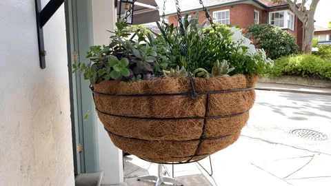 Plants in the breeze Video stock 118437354