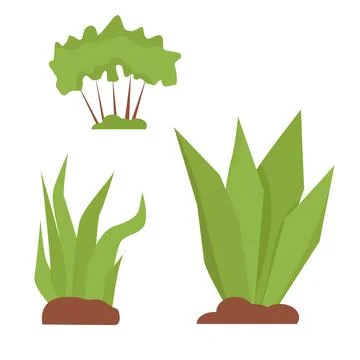 Plants, bushes, grass in flat style isolated on white background Stock Illustration