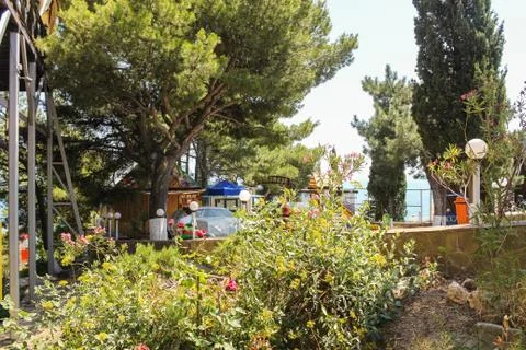 Plants by the cable car. Stock Photos