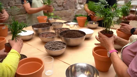 Plants care workshop class Vídeo Stock 277978496
