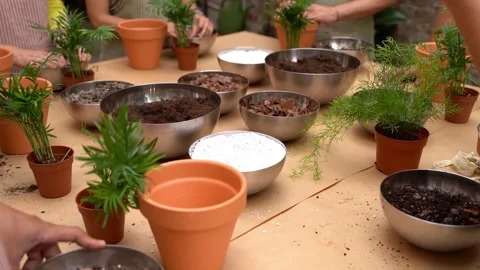 Plants care workshop class Video stock 277978497