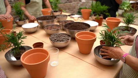 Plants care workshop class. Table with plants soil and pots. people hands Vídeo Stock 277978494