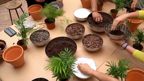 Plants care workshop class. Table with bowls plants and soil top view Vídeo Stock 277978503