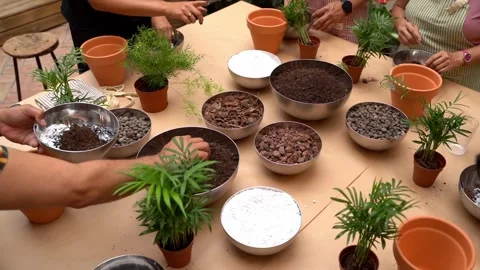 Plants care workshop class. Top view workshop table with pots plants and soil Vídeo Stock 277978500