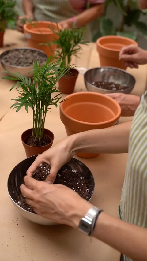 Plants care workshop class vertical video footage Vídeo Stock 277978477