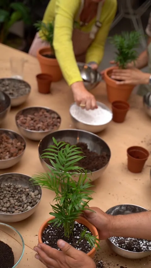 Plants care workshop class vertical video Vídeo Stock 277978480