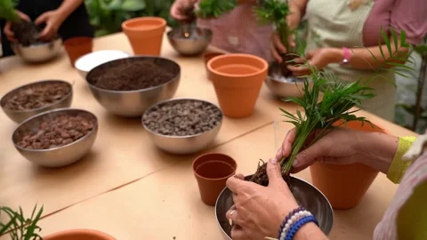 Plants care workshop class video Vídeo Stock 277978493