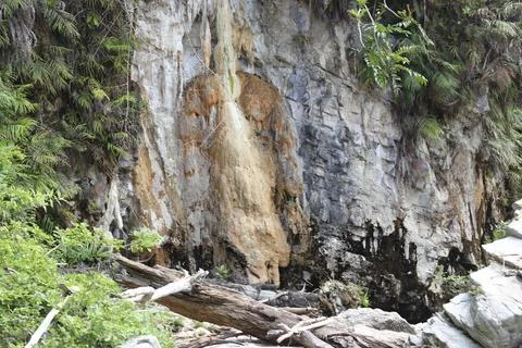 Plants cling to rock cliffs 스톡 사진