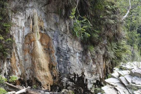 Plants cling to rock cliffs 스톡 사진