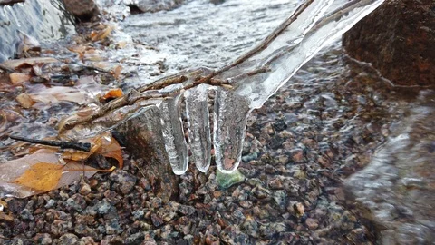 Plants covered with ice when the lake start freezing over, Finland Stock-Footage 119361541