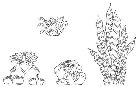 Plants elements vector Stock Illustration