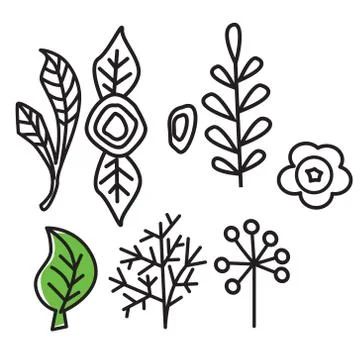 Plants flat illustration on white Stock Illustration