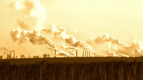 Plants Stock Footage