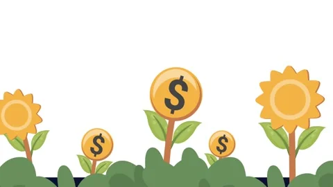 Plants Stock Footage 316801250