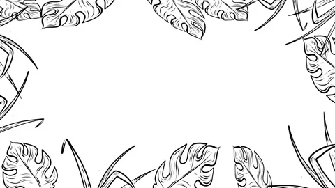 Plants Frame Black White Stock Footage 264871075