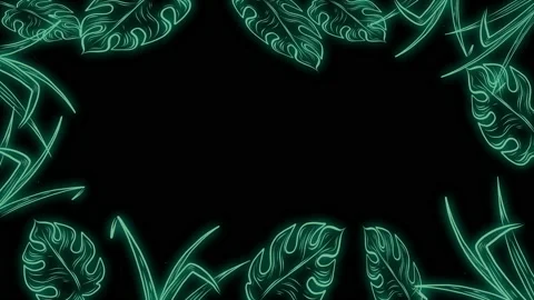 Plants Frame Render 2 2 스톡 동영상 171687429