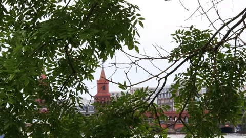 Plants in front of the famous oberbaum bridge in berlin video 動画素材 255576936