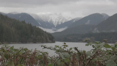 Plants in front of Lake, Mountain Range, Cloudy Sky 스톡 동영상 219530372