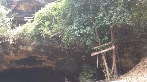 The plants in front of me are piled up Stock Footage 327691838