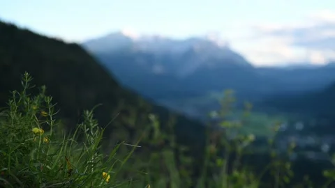 Plants in front of a mountain panorama Stock Footage 219382460