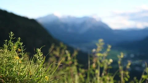 Plants in front of a mountain panorama (slow motion) 스톡 동영상 219382287