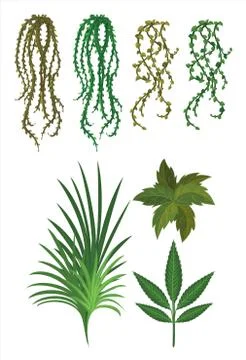 Plants for garden Stock Illustration