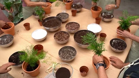Plants group care workshop class video Stock Footage 277978509
