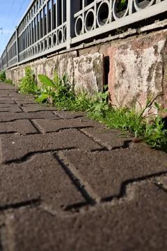 Plants grow between bricks along a walkway near a fence in an outdoor urban Fotos de archivo