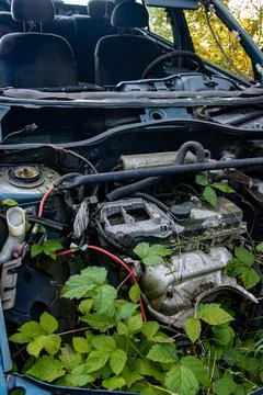 Plants grow through the engine of a damaged car Stock Photos