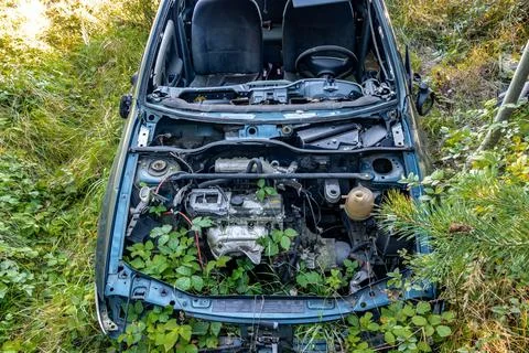 Plants grow through the engine of a damaged car Stock Photos